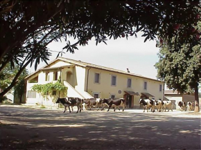 Biobagnolese Agriturismo Orte